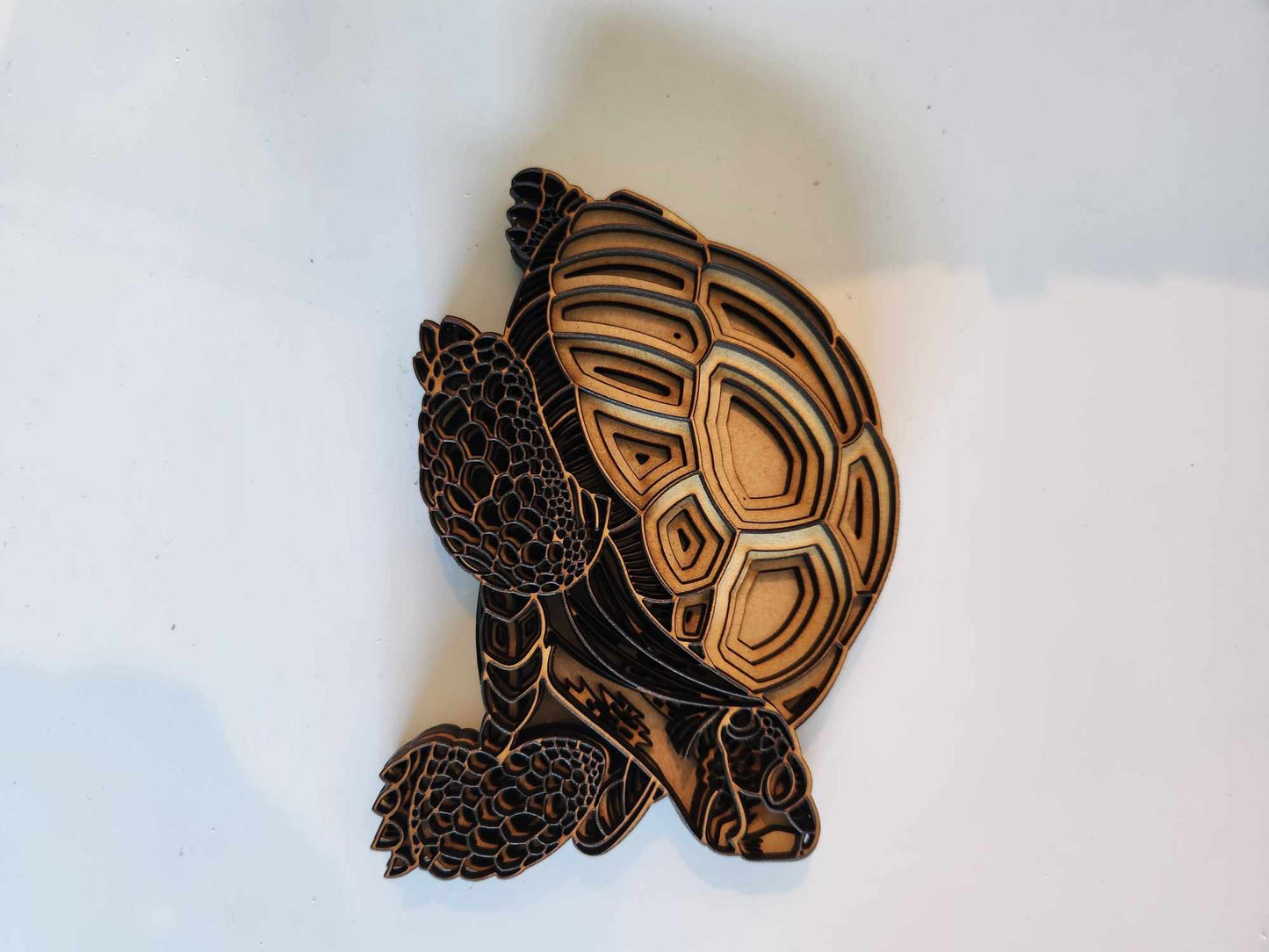 3D Tortoise