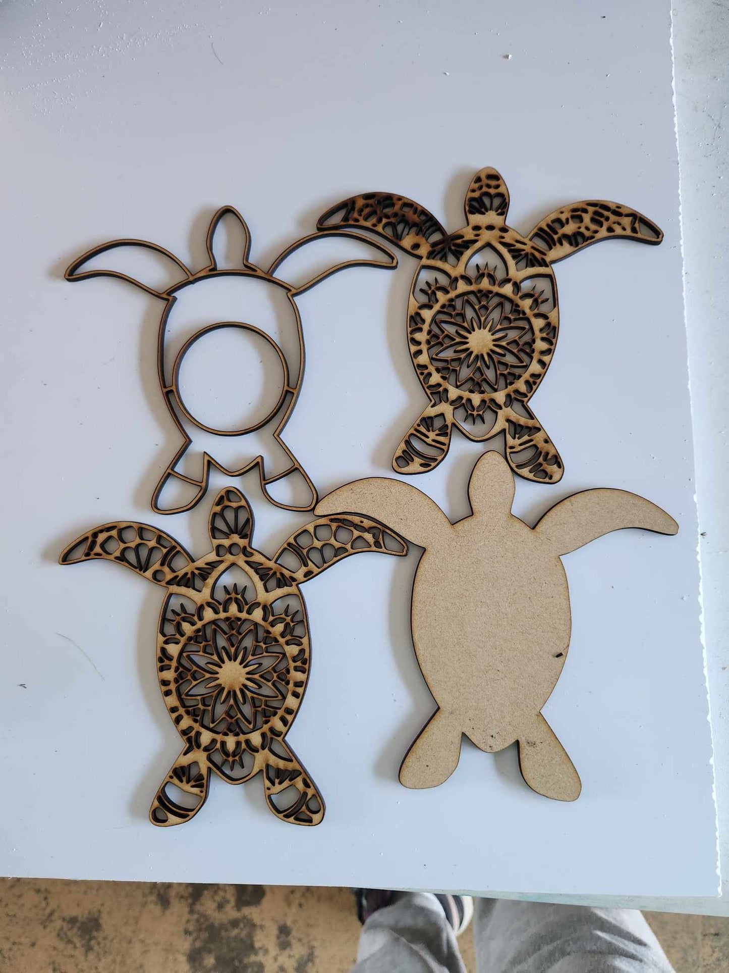 3D Turtle