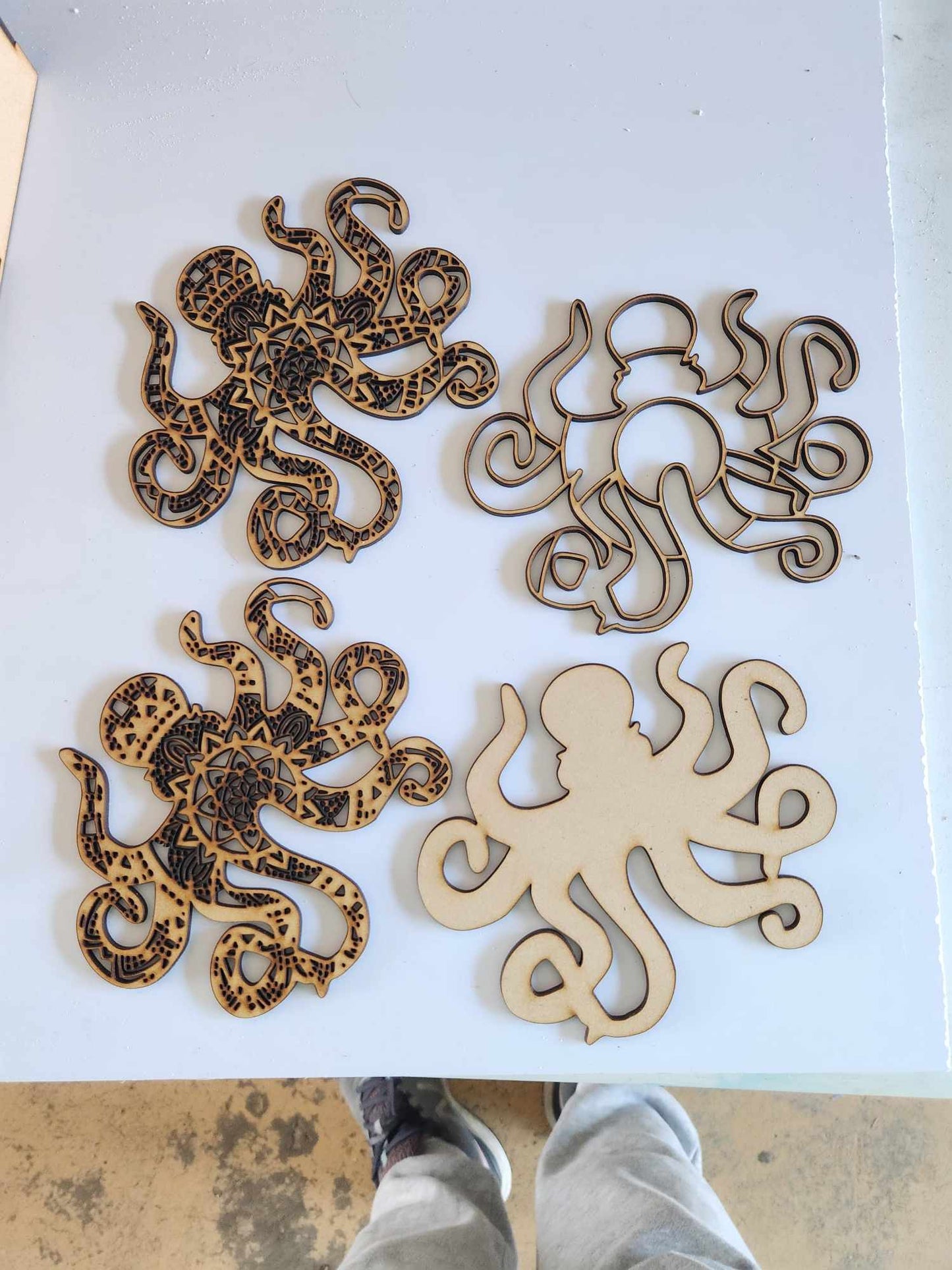 3D Octopus
