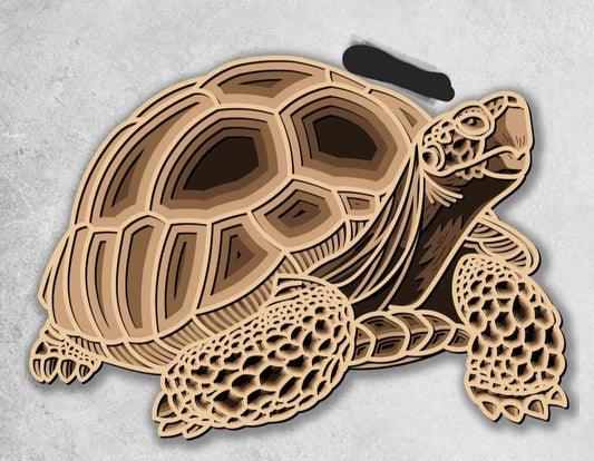 3D Tortoise