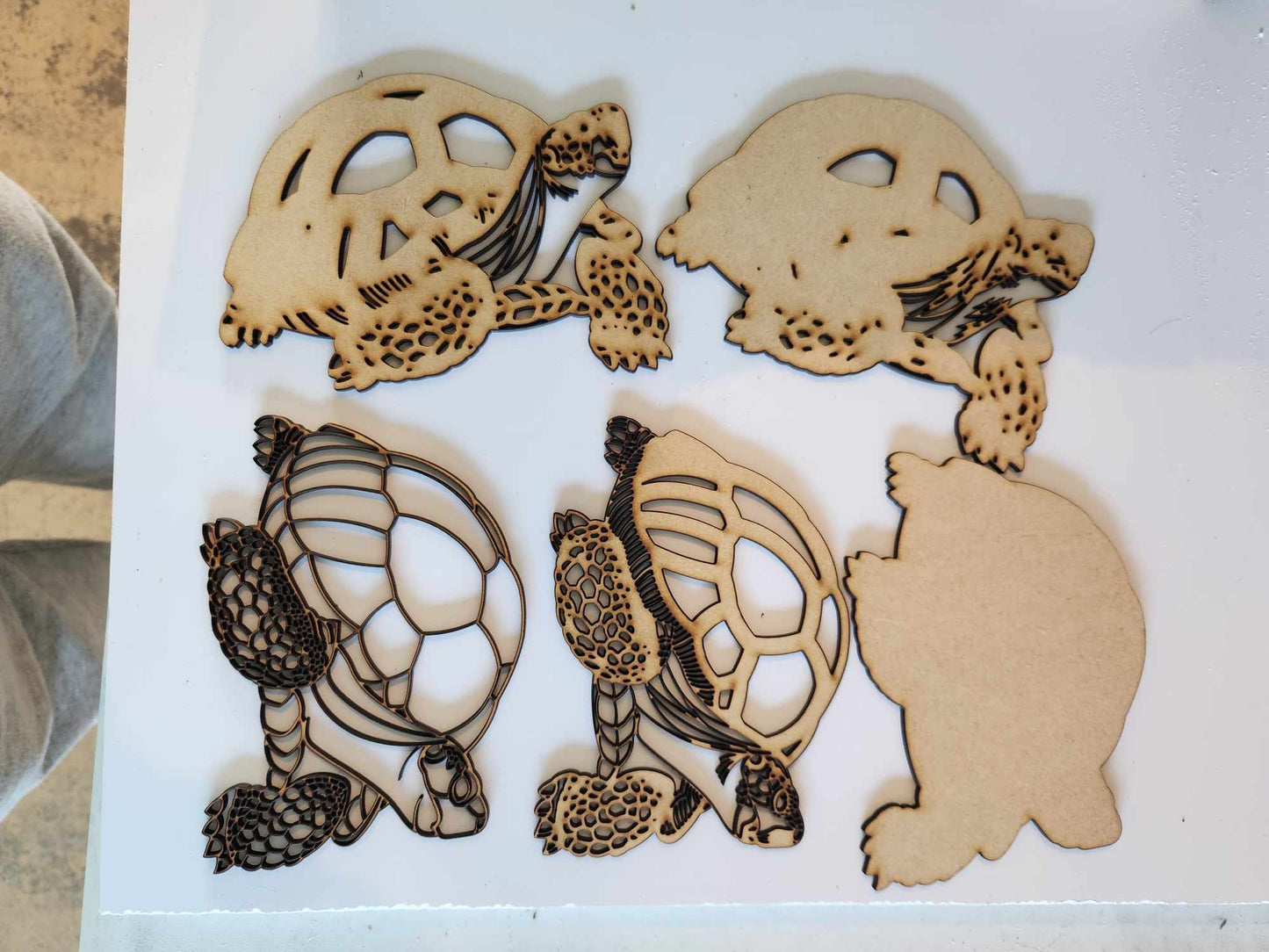 3D Tortoise
