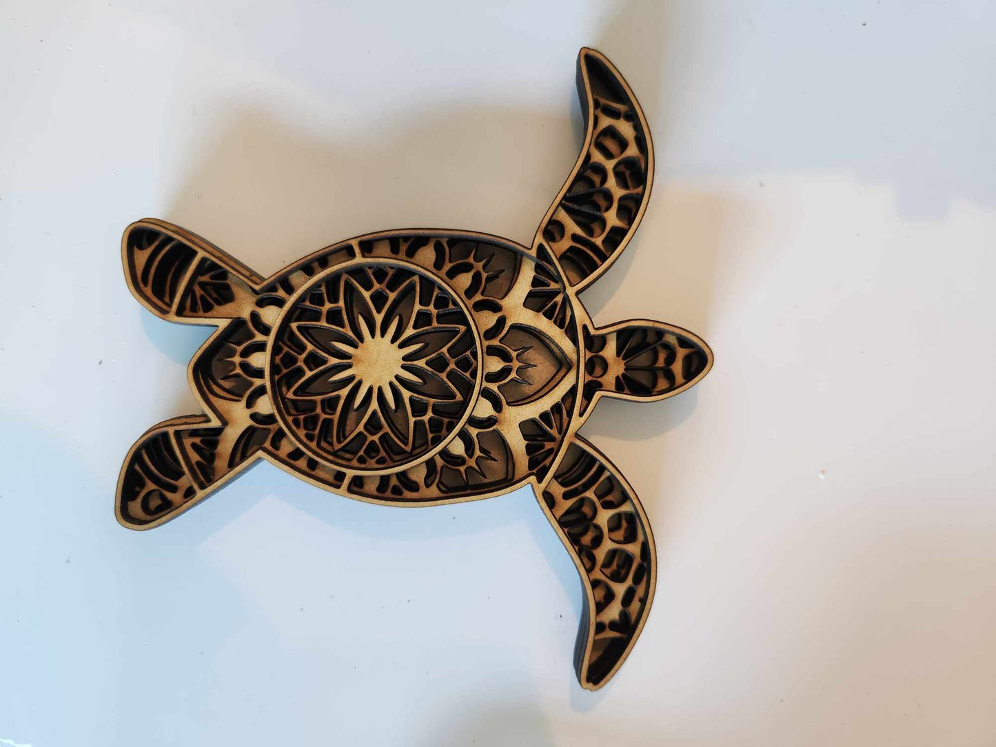 3D Turtle