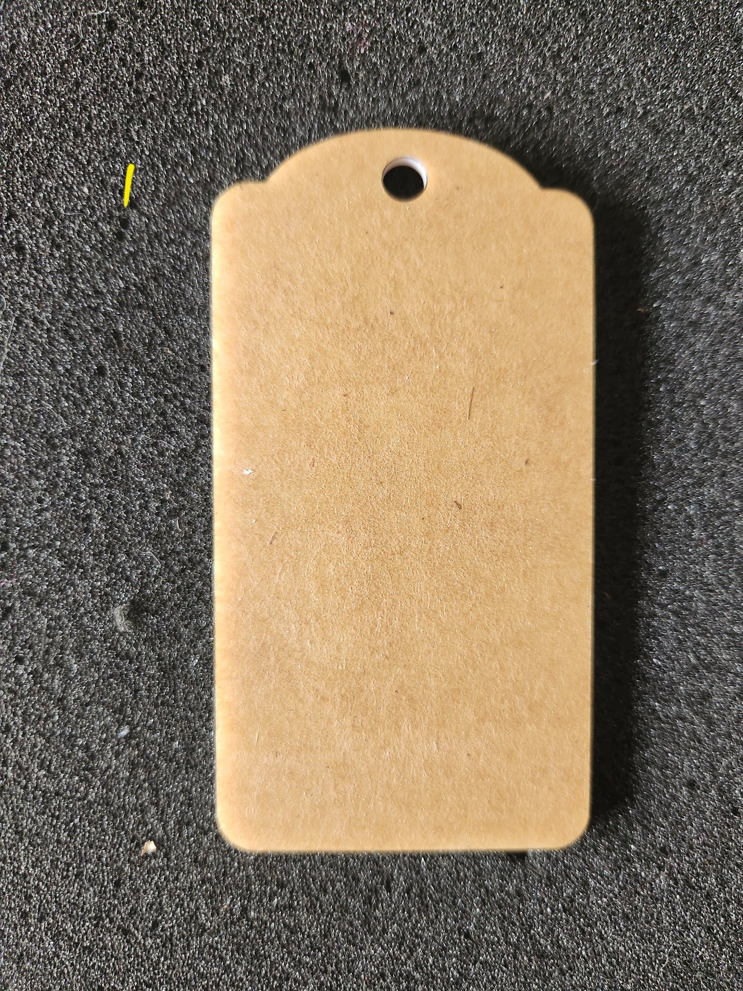 Swing Tags