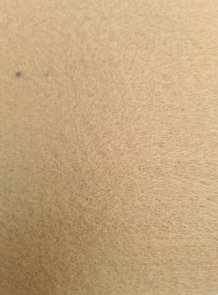 FELT
