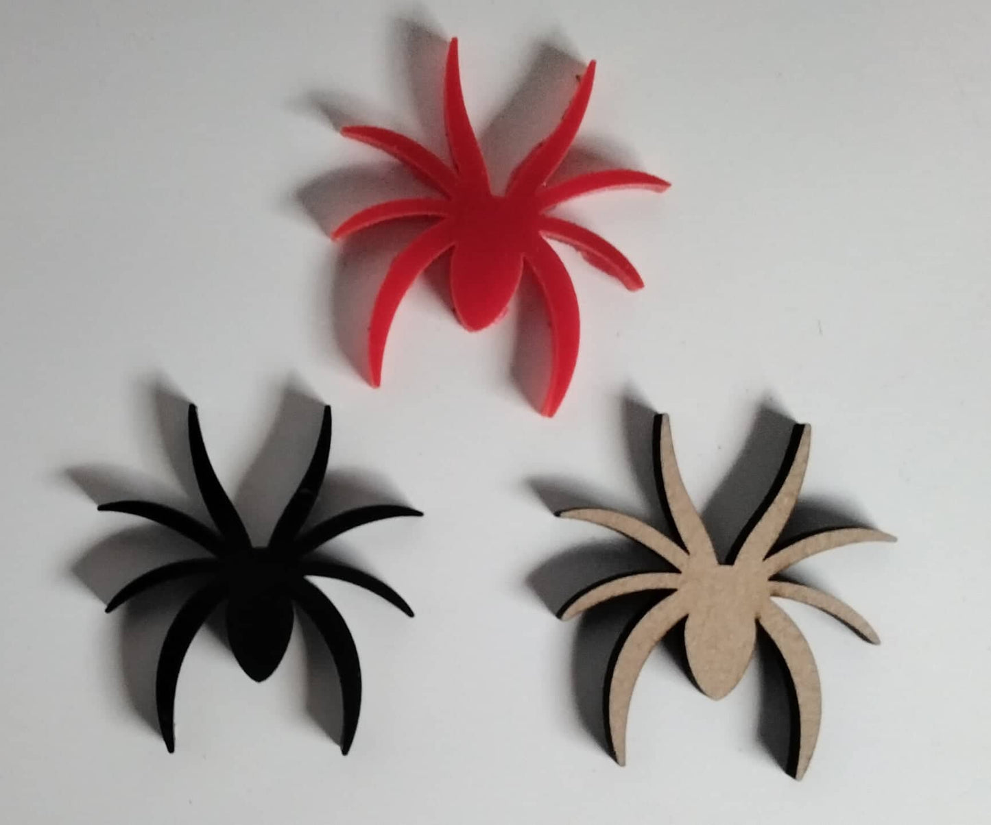 Spiders