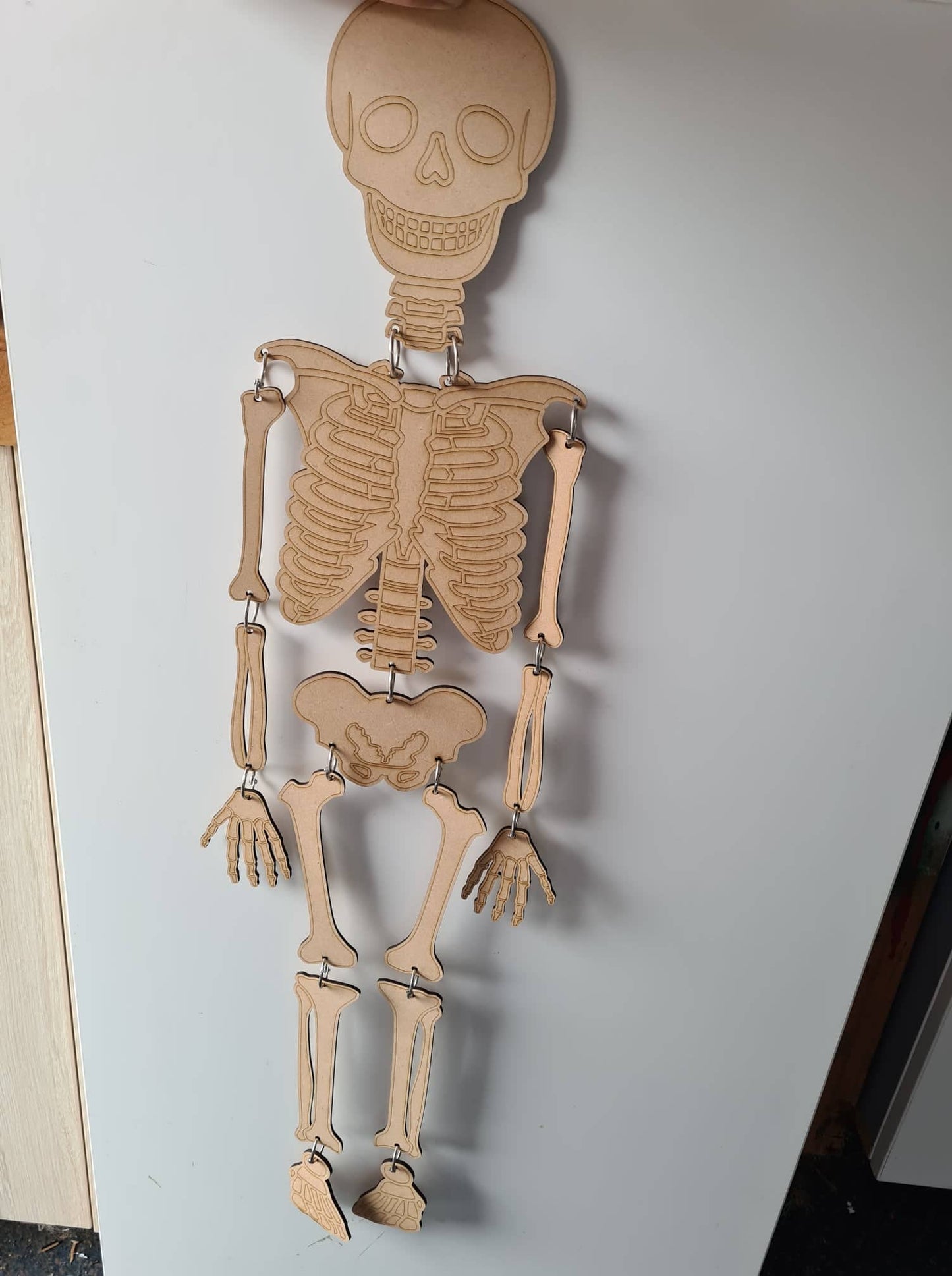 MDF Skeleton