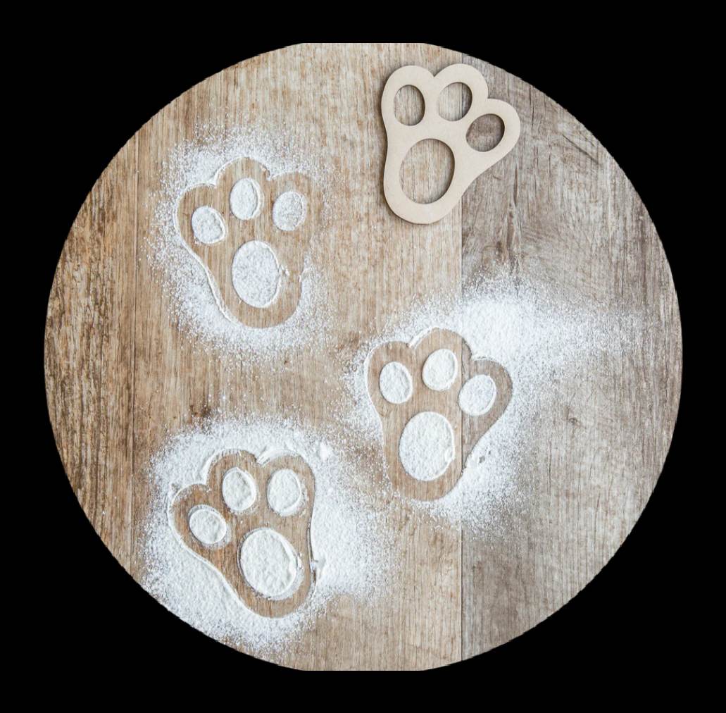 Easter Bunny Feet Stencils