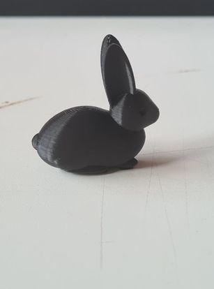 3D printed Bunnys