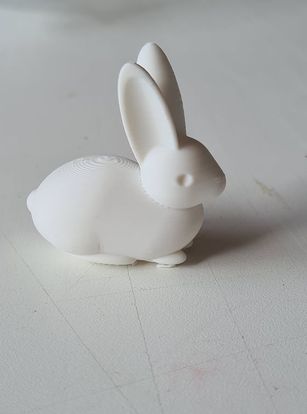 3D printed Bunnys